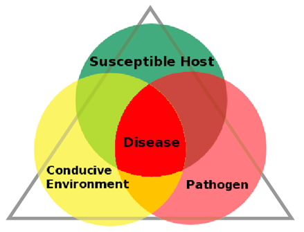 Crop Disease Triangle