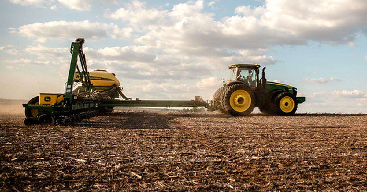 The Perks of Planting Soybeans Early