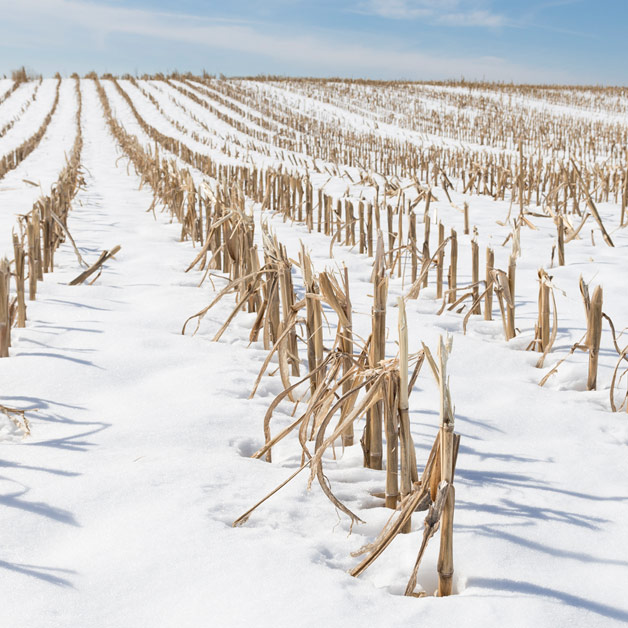 Winter Storage Precautions for Agriculture Nutritionals