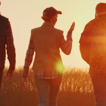 about-novusag-header